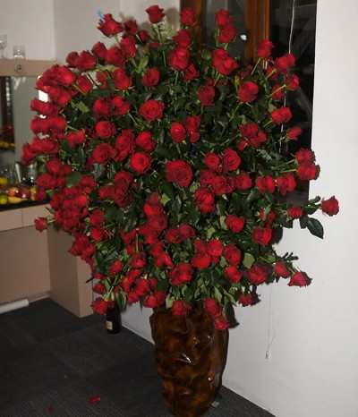 Tuğba Yurt'a 500 güllük jest